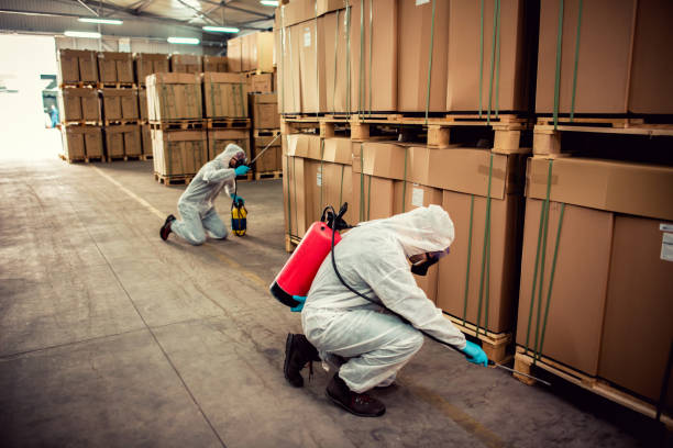 Best Cockroach Control Services  in Godfrey, IL
