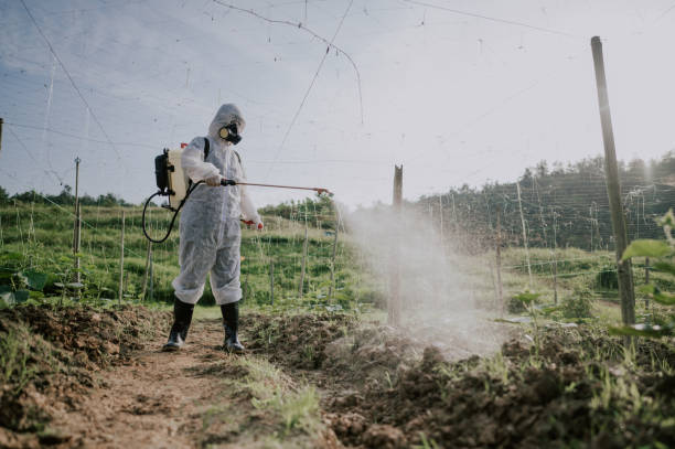 Best Affordable Pest Control Services  in Godfrey, IL
