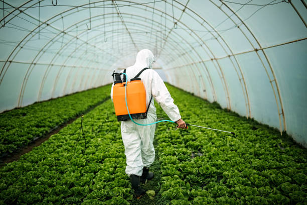 Best Pest Removal Services  in Godfrey, IL