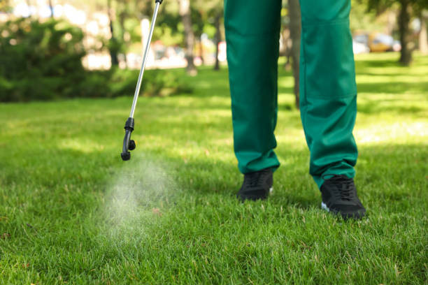Best Best Pest Control Companies  in Godfrey, IL