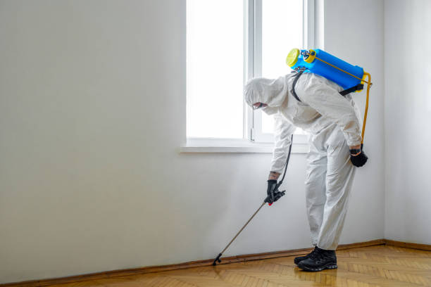 Professional Pest Control in Godfrey, IL