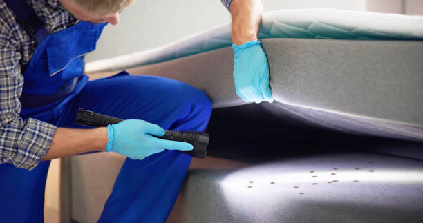 Best Commercial Pest Control Services  in Godfrey, IL