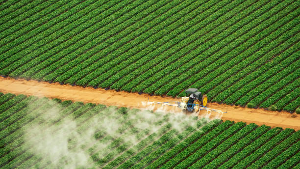 Best Pest Inspection Near Me  in Godfrey, IL