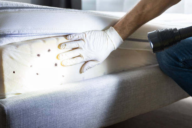 Best Pest Prevention Services  in Godfrey, IL