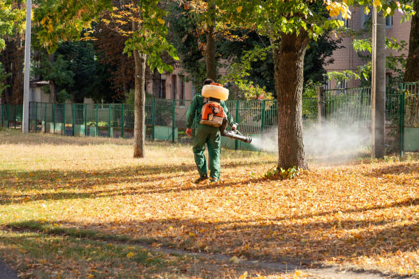 Best Emergency Pest Control  in Godfrey, IL