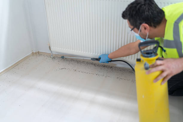 Best Best Pest Control Companies  in Godfrey, IL