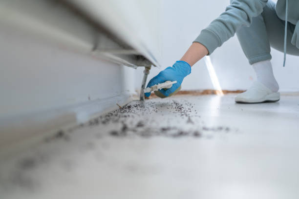 Best Commercial Pest Control Services  in Godfrey, IL