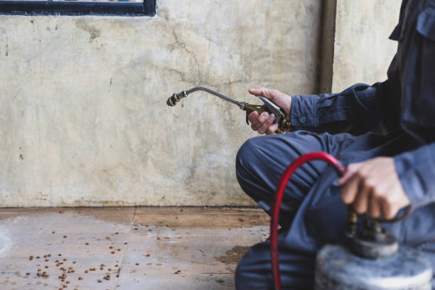 Best Wasp Removal Services  in Godfrey, IL