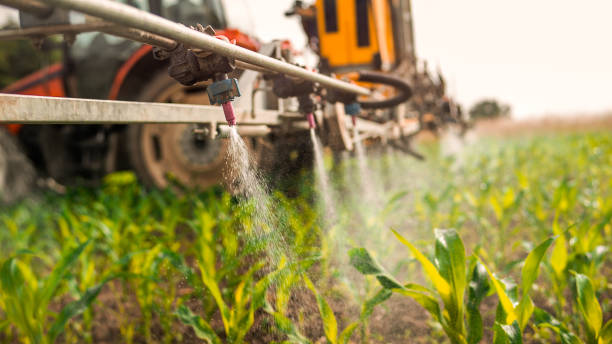 Pest Prevention Services in Godfrey, IL